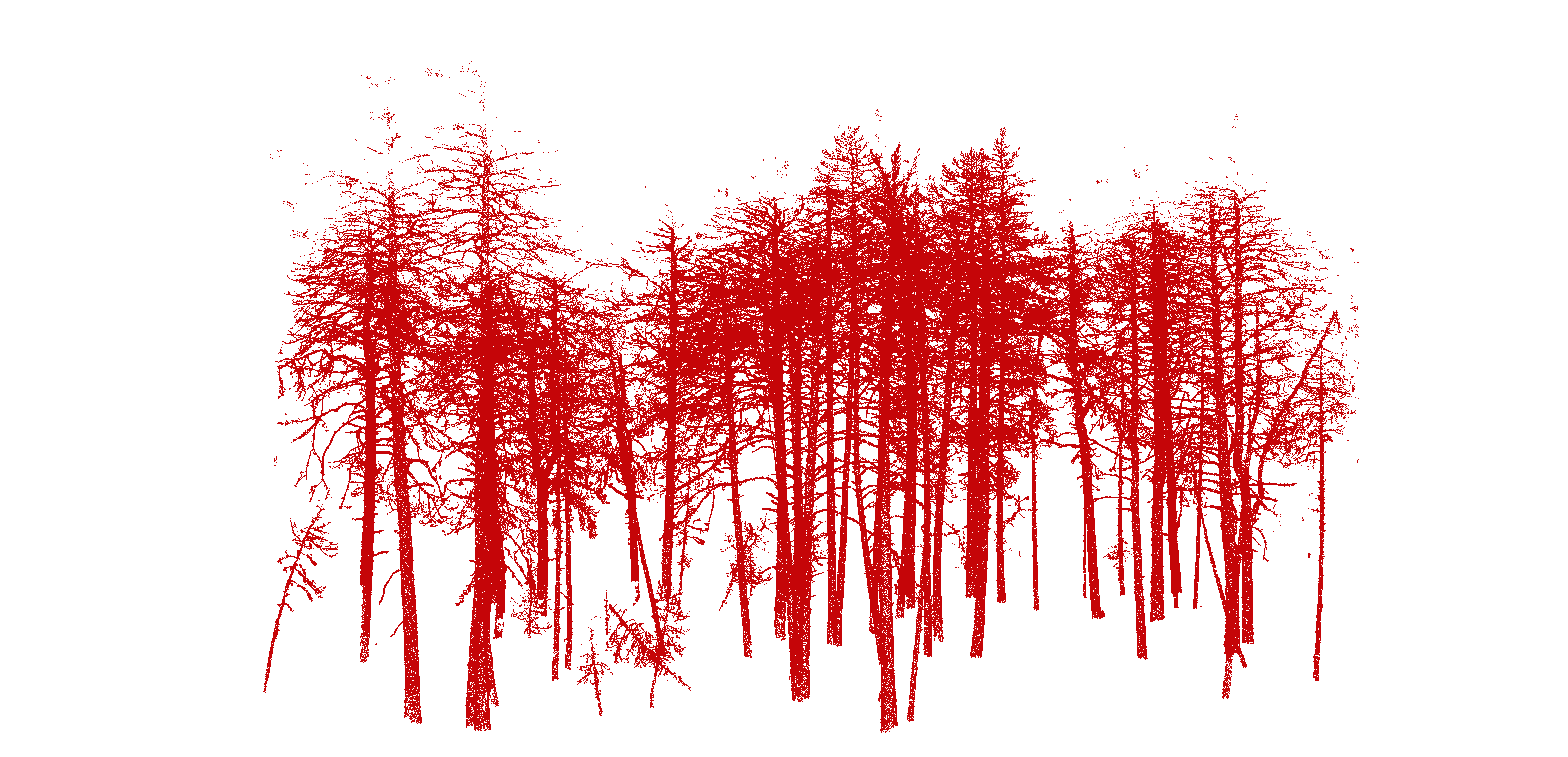 Wood classification