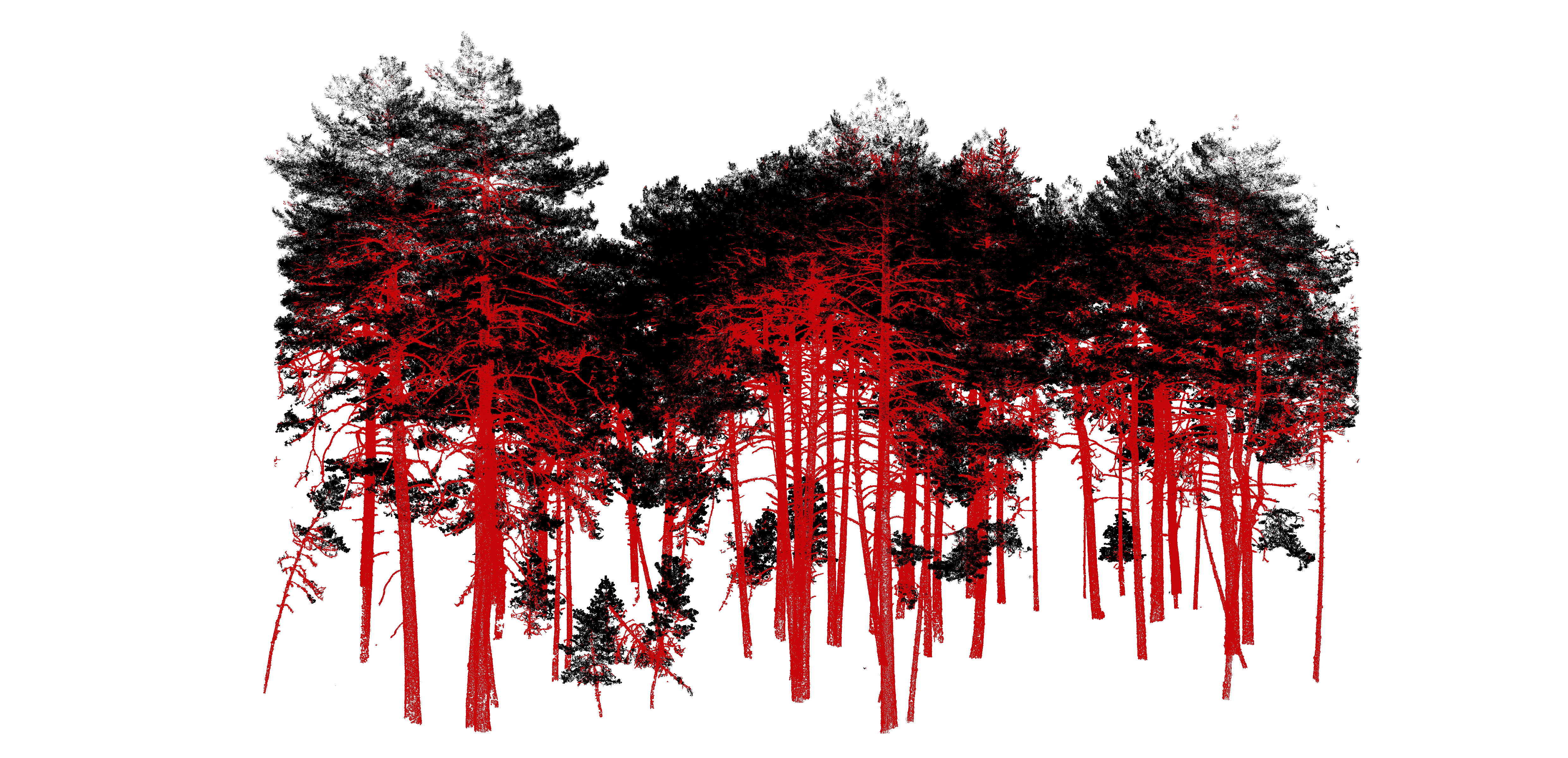 Raw point cloud